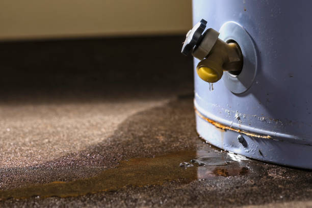 Best Water damage restoration specialists  in West Liberty, OH