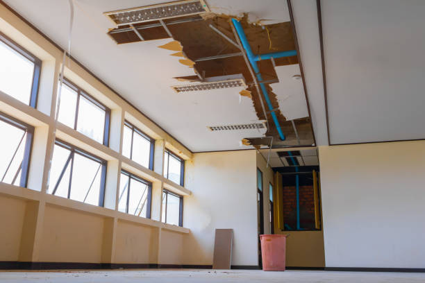 Best Professional water damage repair  in West Liberty, OH
