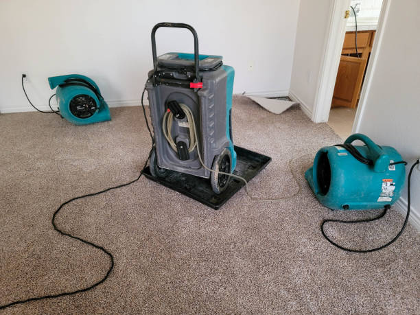 Best Emergency water extraction  in West Liberty, OH