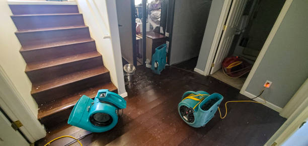 Best Water damage restoration near me  in West Liberty, OH