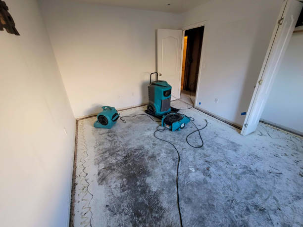 Best Water damage contractors near me  in West Liberty, OH