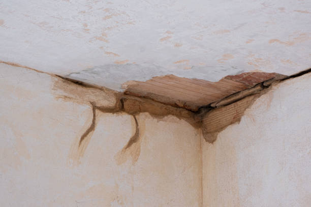 Best 24-hour water damage restoration  in West Liberty, OH