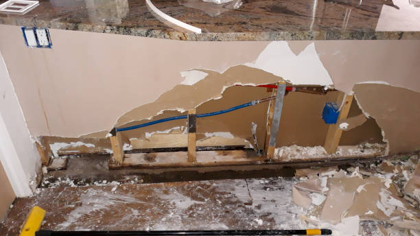 Best Local water damage restoration  in West Liberty, OH