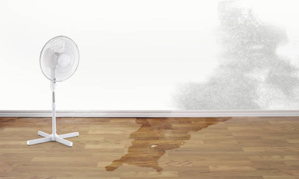 Best Sewage cleanup and water damage restoration  in West Liberty, OH