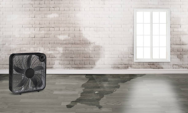  West Liberty, OH Water damage restoration Pros