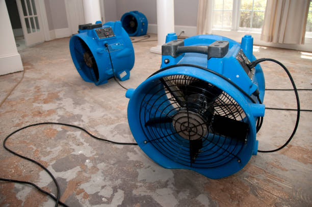 Best Water damage cleanup near me  in West Liberty, OH