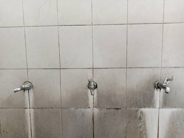 Best Water damage restoration near me  in West Liberty, OH