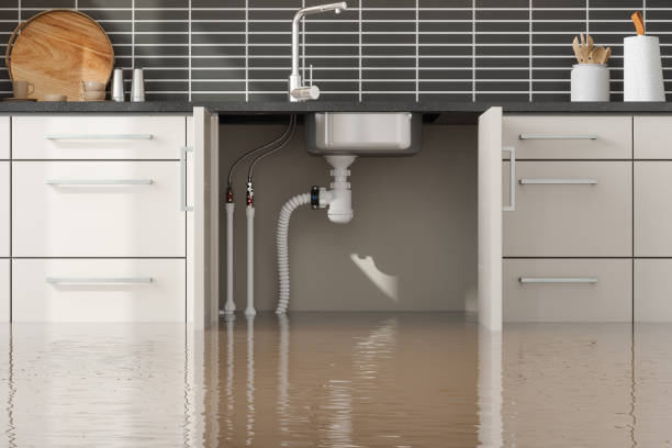 Best 24/7 water damage repair  in West Liberty, OH
