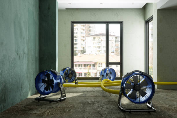 Best Commercial water damage restoration  in West Liberty, OH
